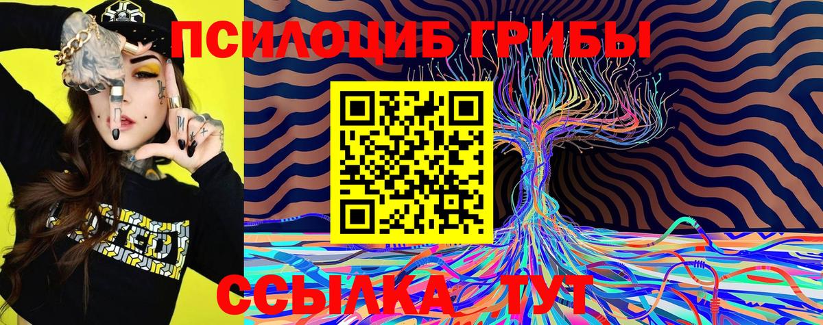 Псилоцибиновые грибы GOLDEN TEACHER  Вход с VPN  Каменка 