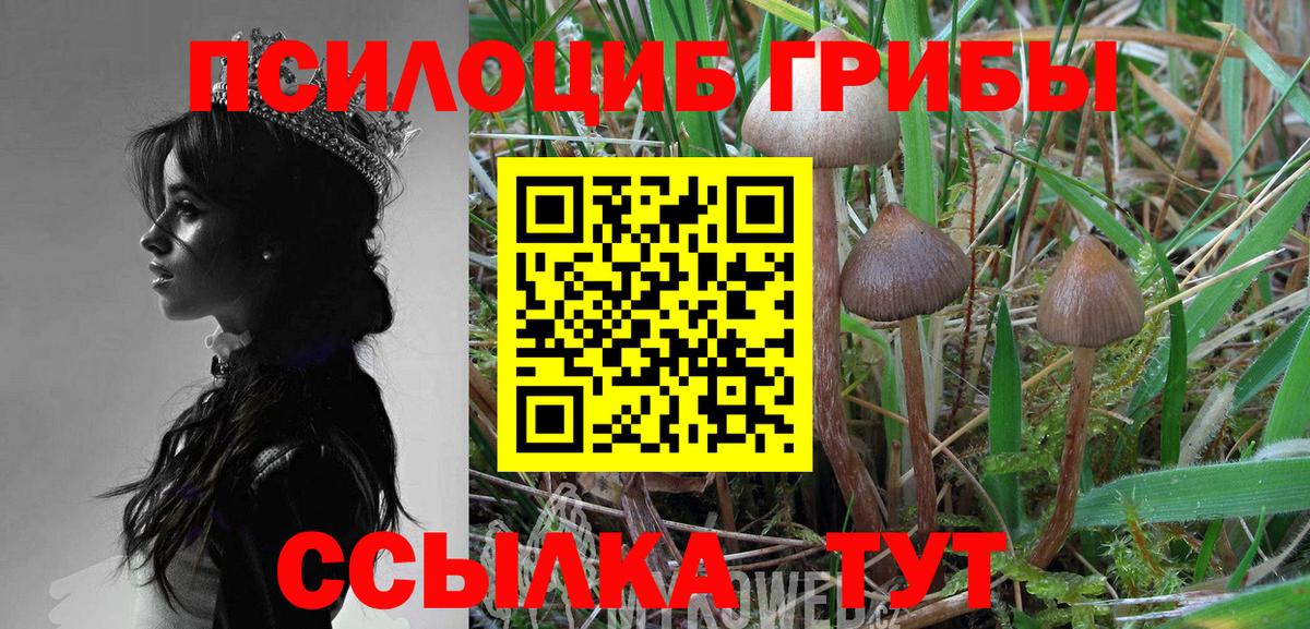 Псилоцибиновые грибы GOLDEN TEACHER Каменка